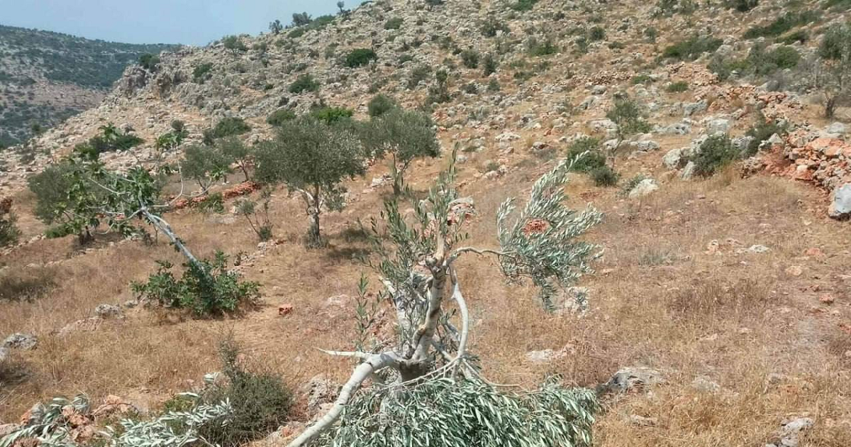 دوما ... البلدة الوادعة التي يستهدفها الاستيطان بشراسة 